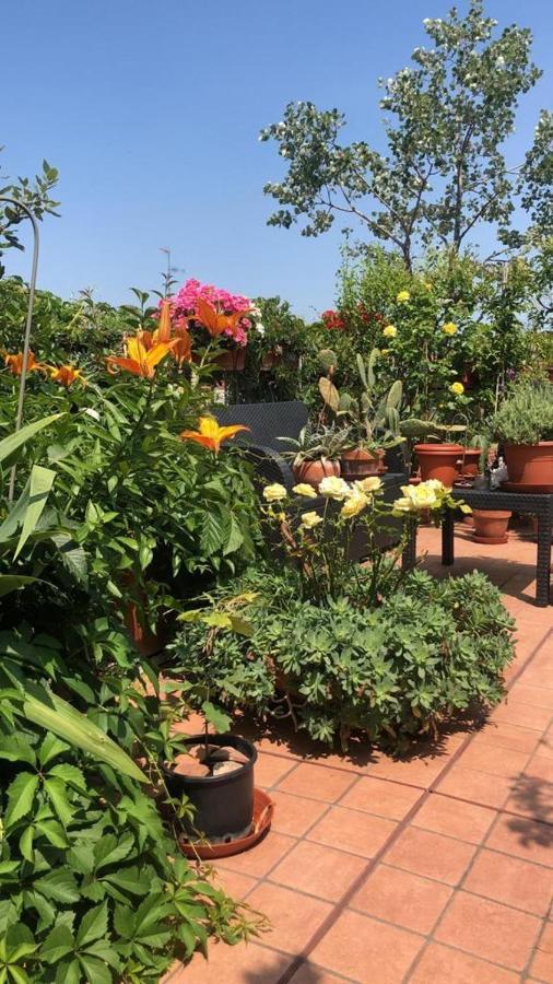Il Giardino Sui Tetti Apartman Bologna Kültér fotó